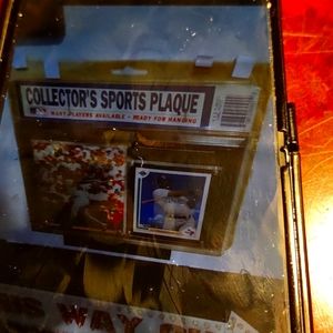 Sports plaque collectors item
